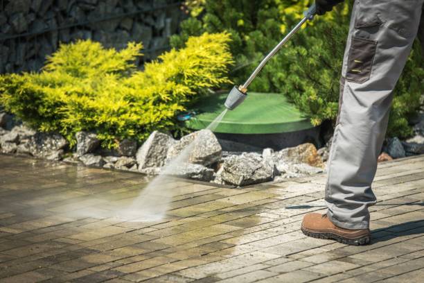 Best Gutter Cleaning  in Remsen, IA