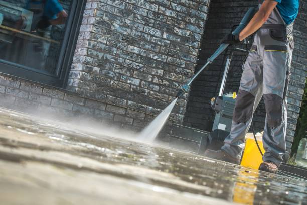 Best Building Exterior Washing  in Remsen, IA